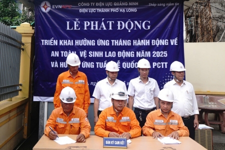 Điện lực thành phố Hạ Long hưởng ứng Tháng hành động về ATVSLĐ và Tuần lễ Quốc gia PCTT năm 2025