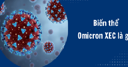 TP. Hồ Chí Minh kích hoạt ứng phó COVID-19, cảnh báo biến chủng Omicron XEC cần theo dõi