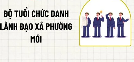 Hướng dẫn mới nhất về độ tuổi nhân sự cấp xã, phường sau sắp xếp