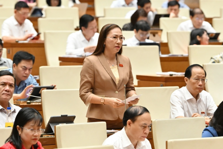 Dự thảo Luật Thanh tra sửa đổi đã có những quy định nhằm xử lý chồng chéo, trùng lặp trong hoạt động thanh tra với kiểm toán Nhà nước