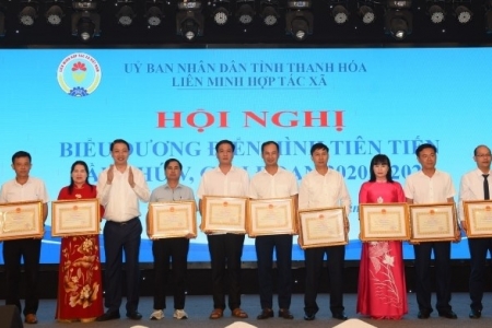 Liên minh HTX Thanh Hóa biểu dương điển hình tiên tiến, giai đoạn 2020-2025