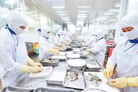 Kịp thời chấn chỉnh môi trường đầu tư kinh doanh