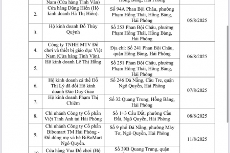 Hải Phòng: Kiểm tra nhà nước về chất lượng hàng hóa đồ chơi trẻ em lưu thông trên thị trường năm 2025