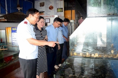 Nghệ An xử phạt 4 cơ sở vi phạm an toàn thực phẩm với tổng số tiền 52 triệu đồng