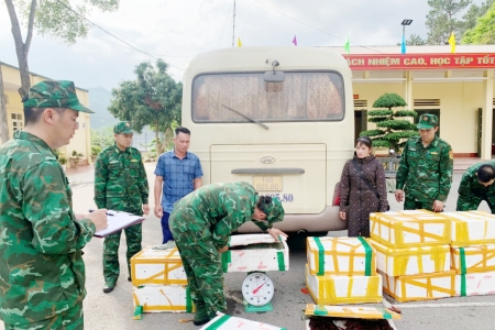 Bộ đội Biên phòng Quảng Ninh bắt giữ vụ vận chuyển gần 200kg tôm hùm đất trái phép