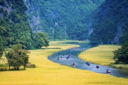 Ninh Bình "thay áo vàng" đón du khách tại Tuần Du lịch 2025