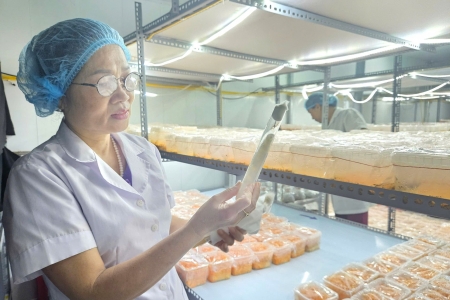 Phúc Khang Nam: Hành trình khởi nghiệp từ Tâm đến thương hiệu Đông trùng hạ thảo uy tín