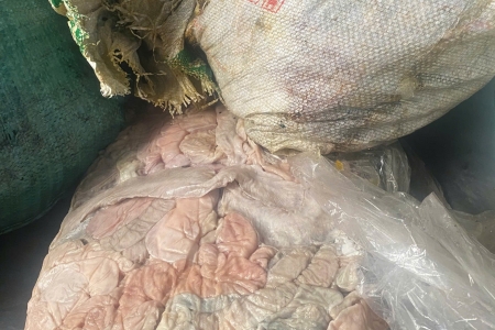 Phát hiện 1,3 tấn nội tạng lợn bốc mùi hôi thối trong một doanh nghiệp tại Hải Dương