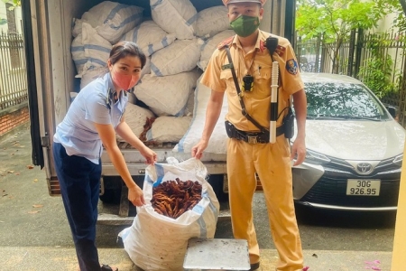 Phát hiện 1,4 tấn chân gà chiên không rõ nguồn gốc tại Hà Nội