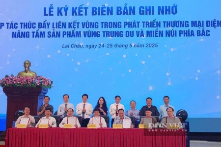 Thúc đẩy liên kết vùng trong phát triển thương mại điện tử tại trung du và miền núi phía Bắc