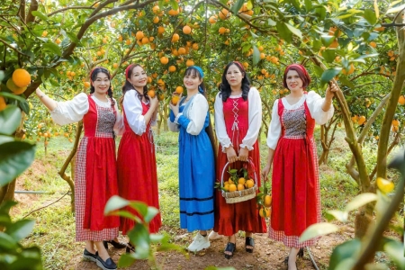 Bắc Giang: Cam Lục Ngạn được bảo hộ chỉ dẫn địa lý