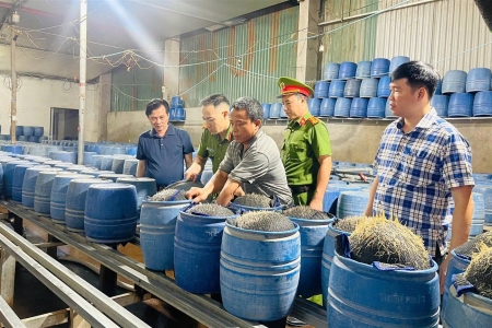 Phát hiện 2 cơ sở dùng hóa chất độc hại sản xuất hơn 300 tấn giá đỗ bán ra thị trường