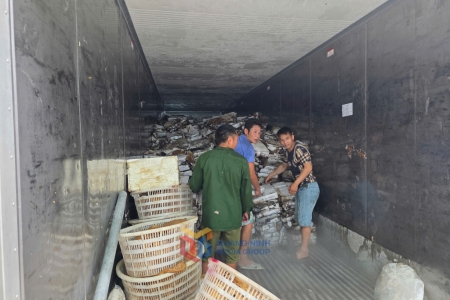 Thu giữ hơn 25 tấn thực phẩm đông lạnh đang bốc mùi, không rõ nguồn gốc tại Móng Cái