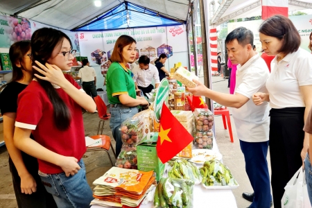 Saigon Co.op dự kiến đưa vải thiều Bắc Giang vào hơn 800 điểm bán trên toàn quốc