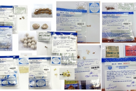 Trong 40.000 mẫu thuốc được giám sát chất lượng, phát hiện dưới 1% không đạt chất lượng