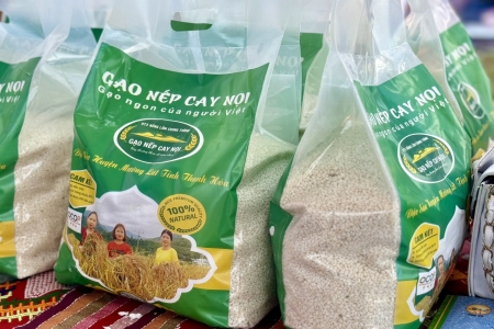 Thanh Hóa hiện có 637 sản phẩm OCOP đạt 3 sao trở lên