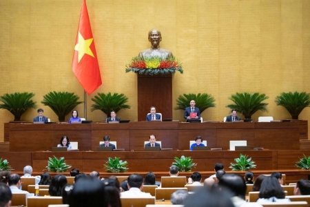 Đại sự nơi nghị trường