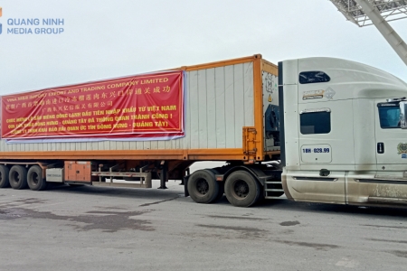 Lần đầu tiên xuất khẩu sầu riêng đông lạnh sang Trung Quốc qua cửa khẩu Bắc Luân II