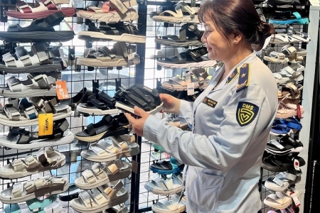 Bình Định tạm giữ trên 55 sản phẩm kinh doanh trái phép