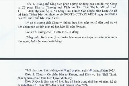 Nợ thuế hơn 18 tỷ đồng, chủ đầu tư dự án Elite Life Cần Giuộc bị cưỡng chế ngừng sử dụng hóa đơn