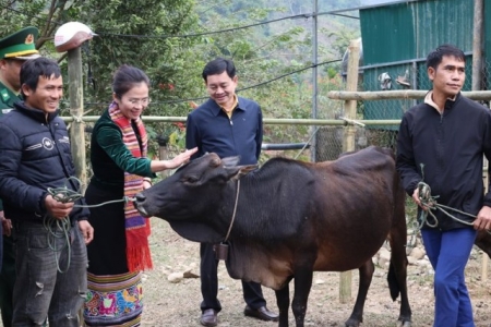 Nghệ An huy động nguồn lực lớn triển khai 7 dự án giảm nghèo trọng điểm