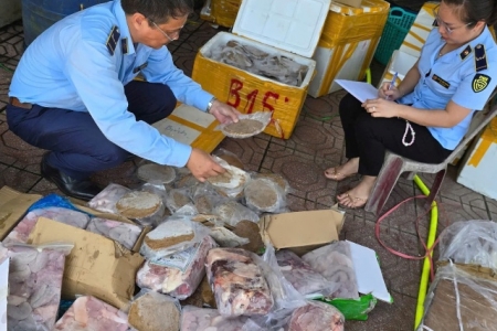 Quảng Bình: Thu giữ gần 270 kg thực phẩm không rõ nguồn gốc