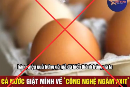 Hà Nội: Nhiều chủ trang trại thiệt hại lớn trước thông tin ‘trứng gà giả’
