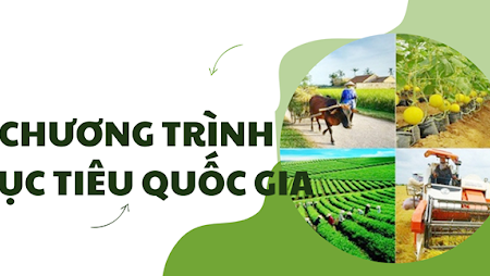 Quyết định thành lập Ban Chỉ đạo Trung ương các chương trình mục tiêu quốc gia