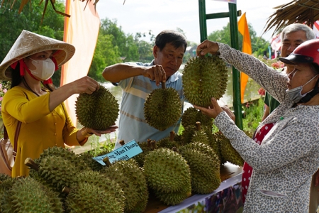 Đồng Tháp triển khai giải pháp thúc đẩy sản xuất và xuất khẩu sầu riêng bền vững