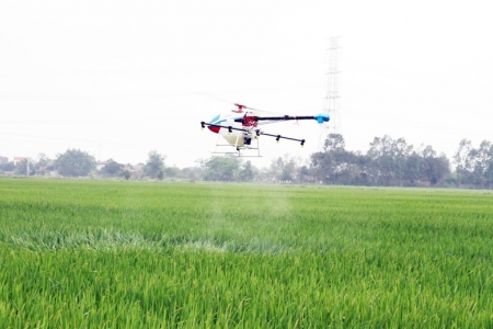 Phấn đấu đến năm 2030, tỷ trọng nông nghiệp ứng dụng công nghệ cao đạt trên 40%