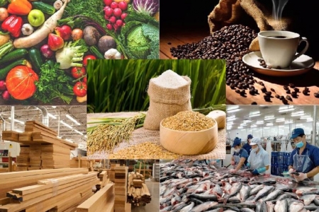 Xuất khẩu nông lâm thủy sản tháng 5/2025 ước đạt 6,28 tỷ USD, tăng 19,6%