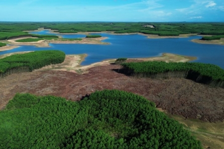 Quảng Trị chấm dứt dự án du lịch 377 tỷ đồng của Công ty CP Đầu tư Sâm Cầm