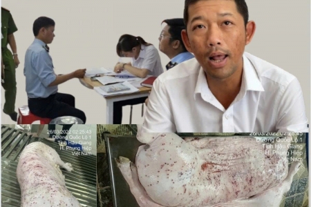 Vụ C.P bị tố bán heo bệnh: Doanh nghiệp phải có trách nhiệm xã hội