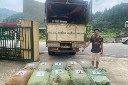 Cao Bằng: Liên tiếp triệt phá các vụ vận chuyển lá thuốc lá lậu, thu giữ hơn 1,1 tấn nguyên liệu không rõ nguồn gốc