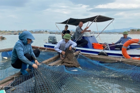 Ngành thủy sản mở đợt cao điểm chống buôn lậu và gian lận thương mại