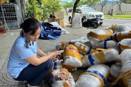 Đà Nẵng: Phát hiện 700kg mực khô đã hư hỏng bị vứt bỏ trên vỉa hè