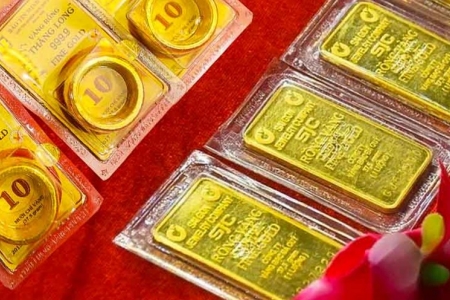 Giá vàng hôm nay 11/6: Tiếp tục tăng