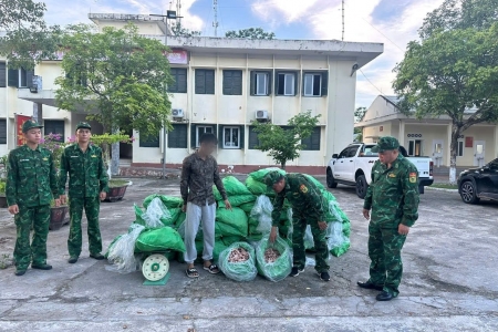 Quảng Ninh: Bắt giữ hơn 560kg chân gà đông lạnh không rõ nguồn gốc, xuất xứ