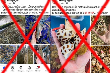 Khởi tố cặp vợ chồng lừa đảo bán hải sản "tươi ngon, giá rẻ" ở Lai Châu