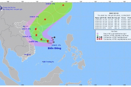 Nam Định chủ động ứng phó bão số 1 và mưa lũ