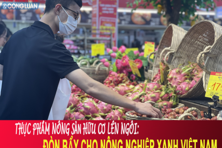 Thực phẩm nông sản hữu cơ lên ngôi: Đòn bẩy cho nông nghiệp xanh Việt Nam