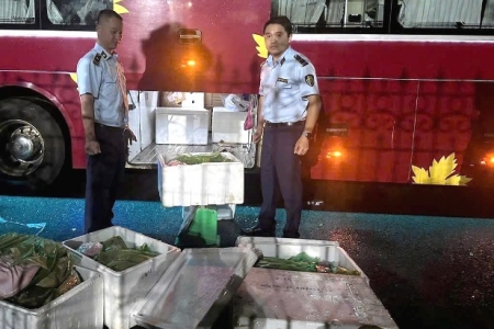 Phát hiện hơn 250 kg thịt heo không rõ nguồn gốc, xuất xứ đang được đưa đi tiêu thụ