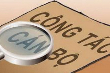 Chủ tịch UBND cấp xã có thẩm quyền bổ nhiệm Trưởng, Phó phòng chuyên môn theo Nghị định 150 của Chính phủ