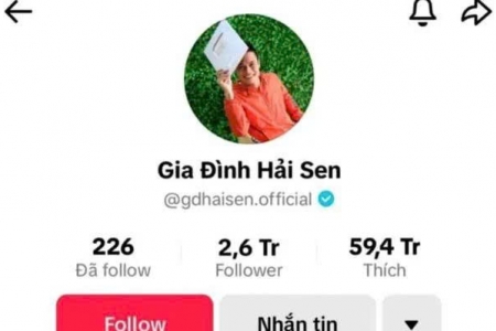 Chủ kênh TikTok “Gia đình Hải Sen” bị bắt vì nghi buôn bán hàng giả