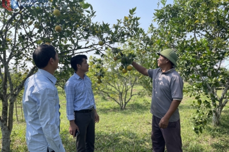 Quảng Ninh: Sẵn sàng cho tổng điều tra nông nghiệp, nông thôn