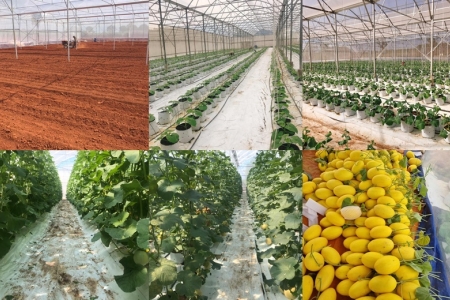 Bà Rịa – Vũng Tàu: Ứng dụng công nghệ “Chìa khóa vàng” phát triển bền vững cho HTX nông nghiệp