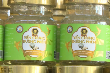 Chuyển công an Phú Thọ điều tra vụ yến chưng không đạt chỉ tiêu chất lượng tại Công ty TNHH Yến sào Tuấn Dương & TKT