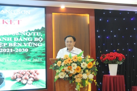 Lạng Sơn tổng kết 5 năm thực hiện Nghị quyết 30 về phát triển lâm nghiệp bền vững