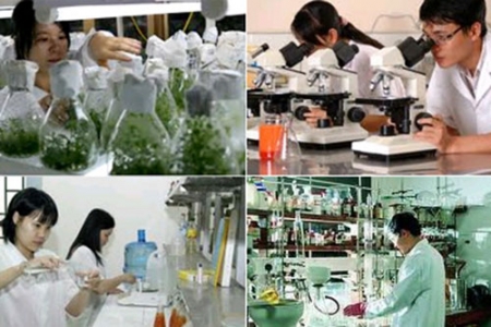 Tháo gỡ rào cản thể chế, tạo cơ chế hợp tác công - tư cho khoa học công nghệ