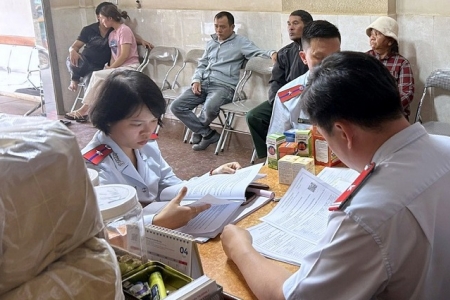 Lâm Đồng tăng cường kiểm soát y, dược cổ truyền